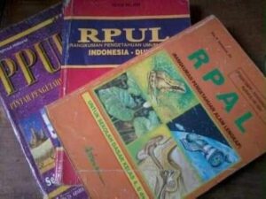 Kenapa Gedung Sekolah Dasar Negeri Tidak Pernah Berubah